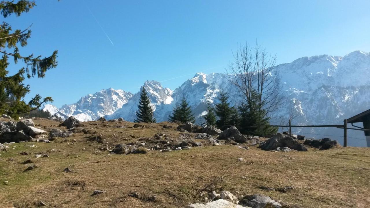Haus Tirol Apartment